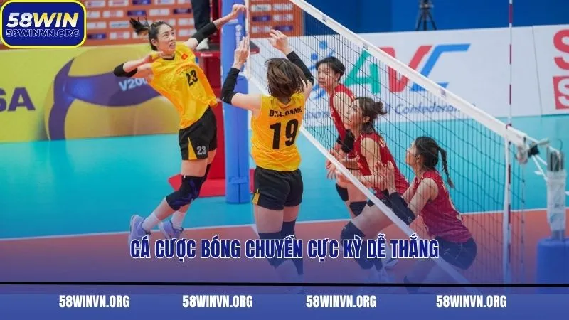 Cá cược bóng chuyền cực kỳ dễ thắng