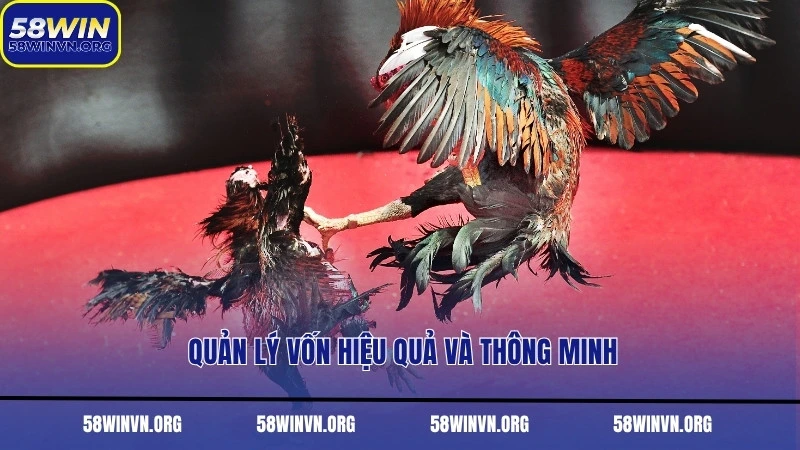 Quản lý vốn hiệu quả và thông minh