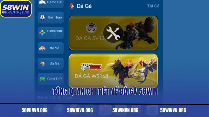 Tổng quan chi tiết về đá gà 58WIN