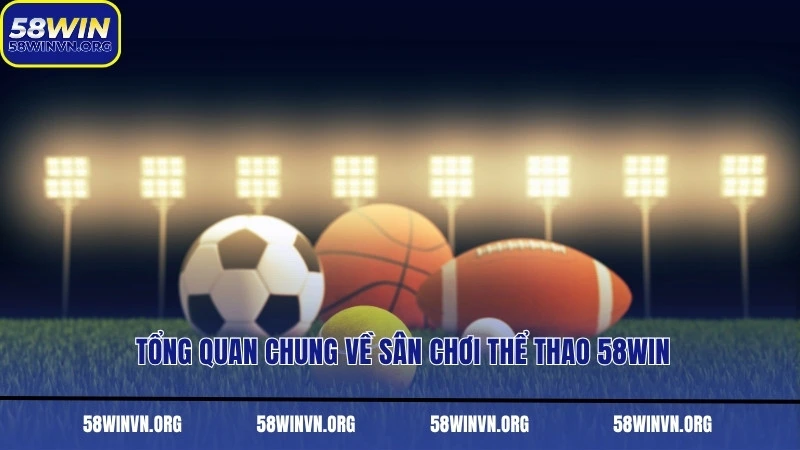 Tổng quan chung về sân chơi thể thao 58WIN